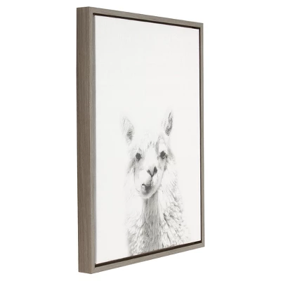 24" X 18" Alpaca Framed Canvas Art - Uniek 3 24" X 18" Alpaca Framed Canvas Art - Uniek