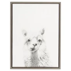 24" X 18" Alpaca Framed Canvas Art - Uniek 8 24" X 18" Alpaca Framed Canvas Art - Uniek -Child Home Decoration Store GUEST bd86ad66 d695 4b4e aa16 063fe31cd520