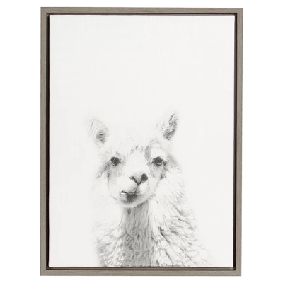 24" X 18" Alpaca Framed Canvas Art - Uniek 5 24" X 18" Alpaca Framed Canvas Art - Uniek - Image 3